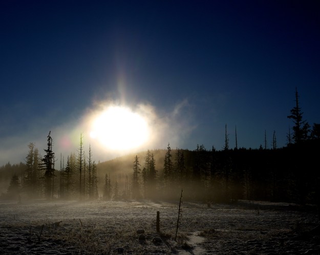 sun through fog